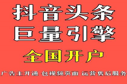 SEM广告投放中的数据监控与调整策略——以某品牌营销案例为例