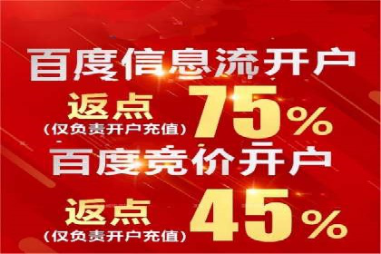 竞价广告的投放策略与网络推广的实践案例